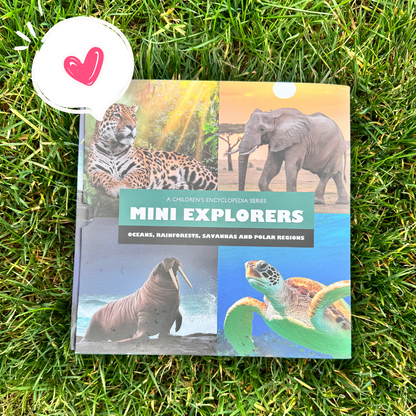 MINI EXPLORERS BIOMES BOX SET