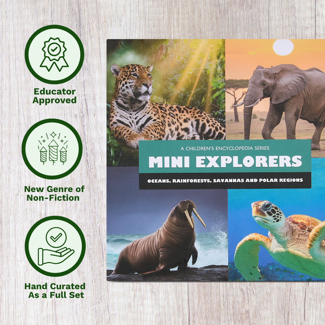 MINI EXPLORERS BIOMES BOX SET