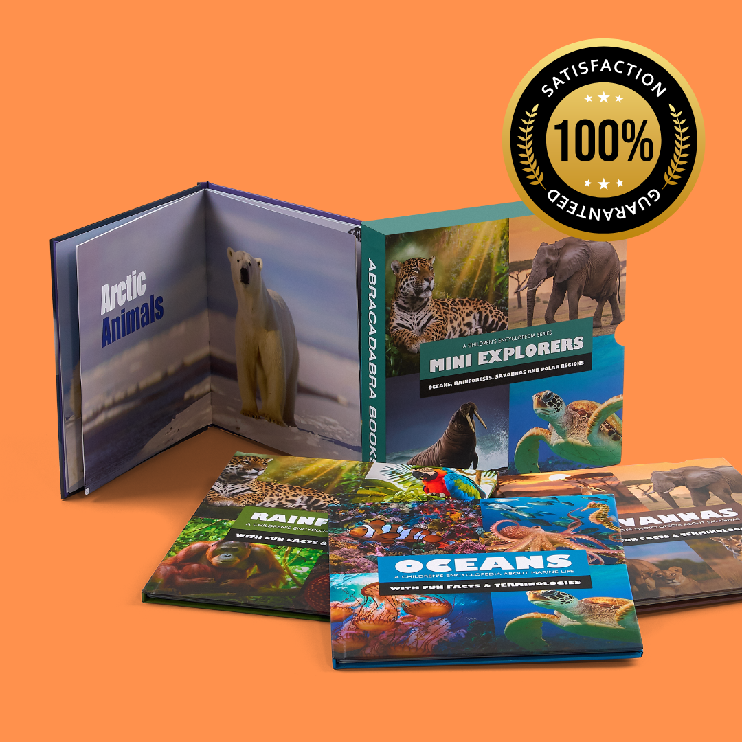 MINI EXPLORERS BIOMES BOX SET