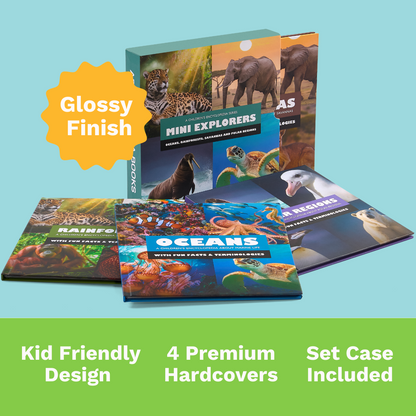 MINI EXPLORERS BIOMES BOX SET