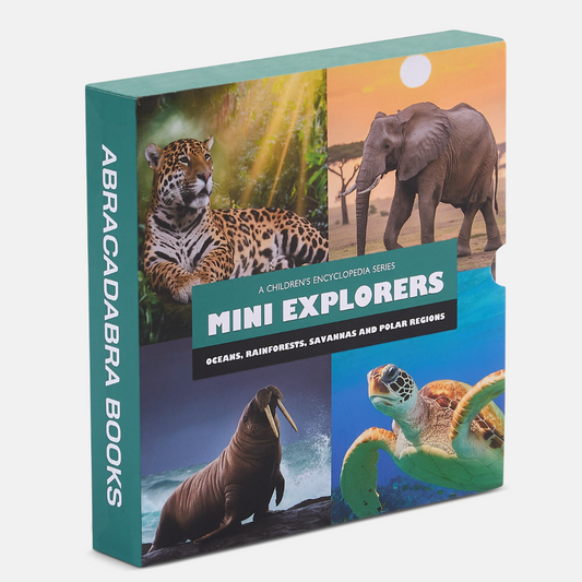 MINI EXPLORERS BIOMES BOX SET