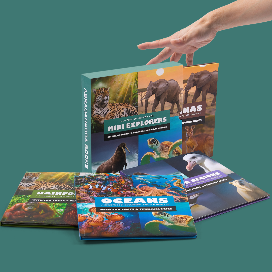 MINI EXPLORERS BIOMES BOX SET